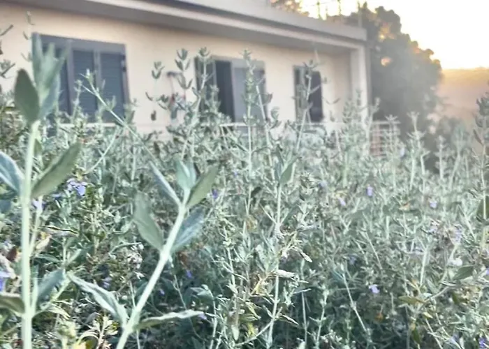 Pinarello Vue Panoramique Piscine Privee Chauffee, A 900m